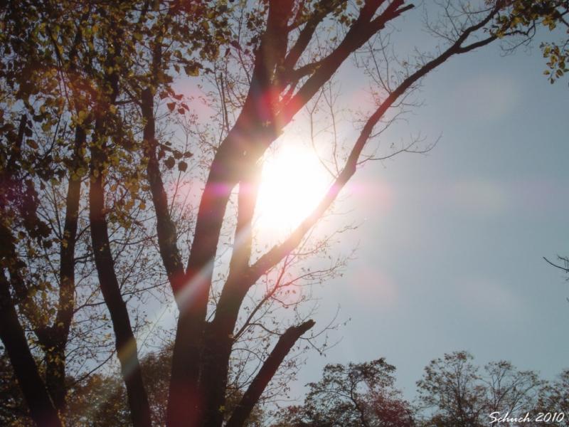 Графіка - Мукачеве