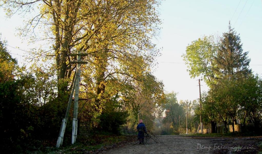 Золотые листопады - Івча