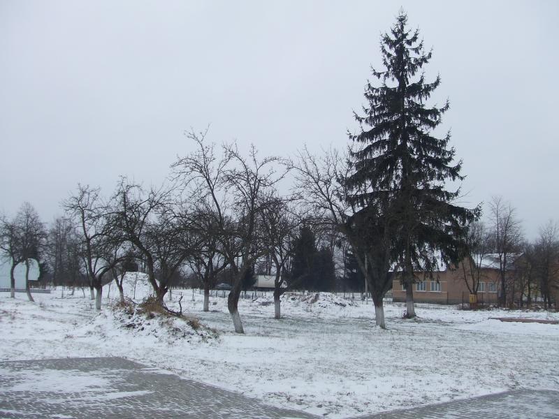 краєвид - Нежухов