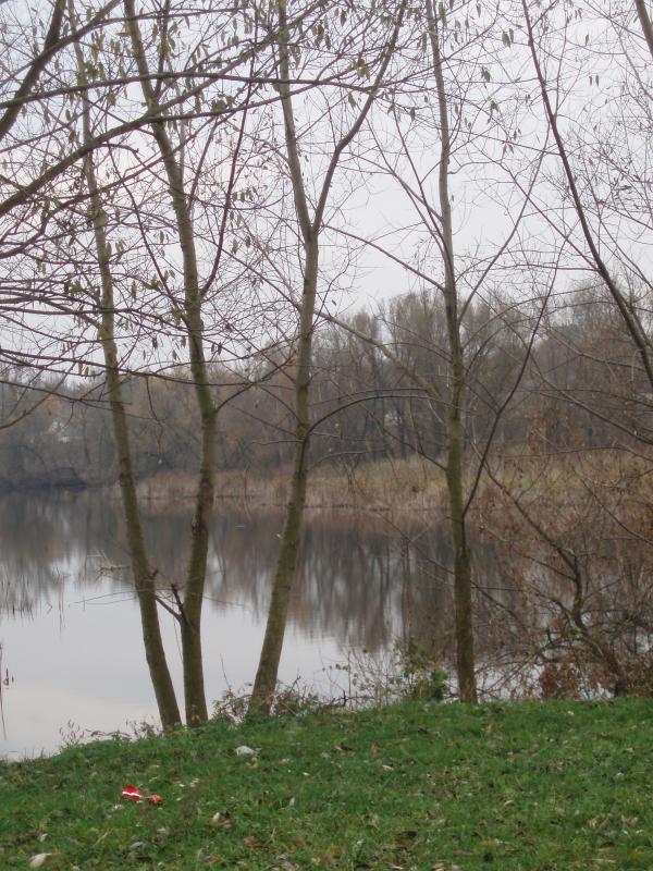 Теліженці - Теліжинці