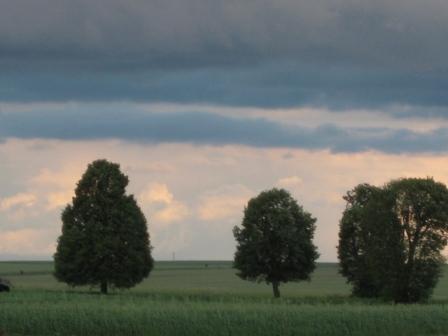 Крайовиди - Барилів