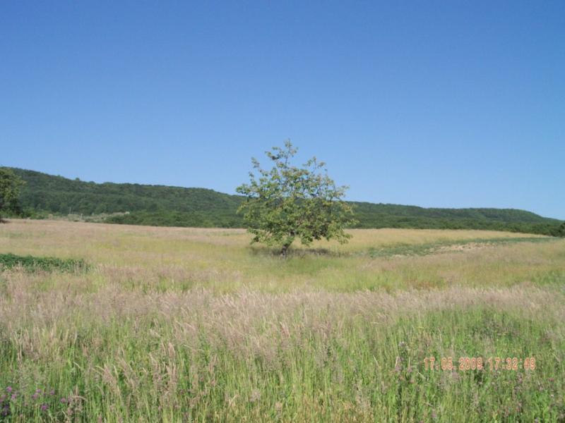 Завидово - Завидово