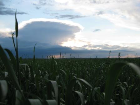 НЕБО - Барилів