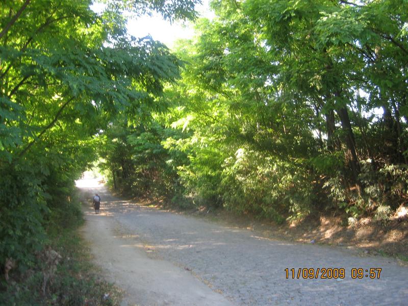 Просторы Цибулевки и Литовчуки - Цибулівка