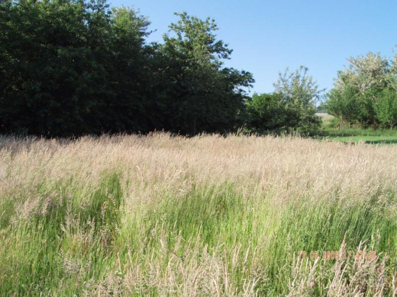 Завидово - Завидово