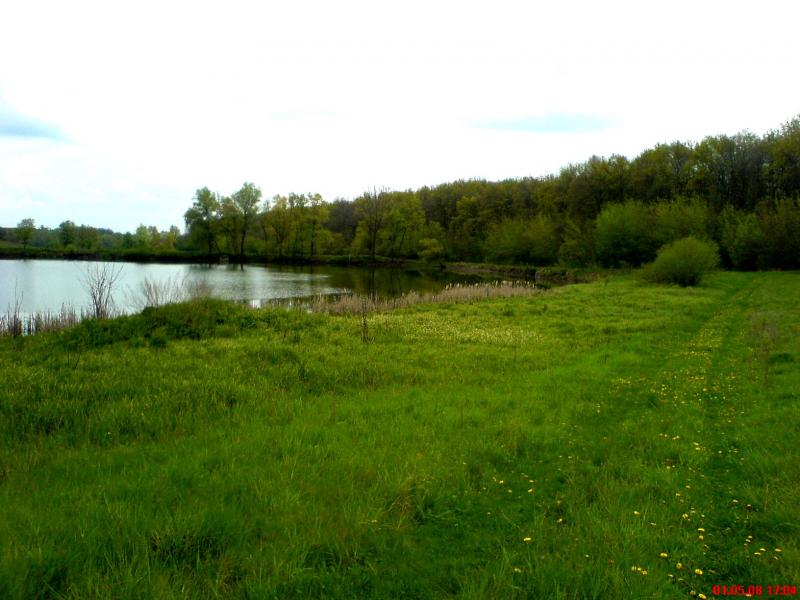 Night Alex - Гопчиця