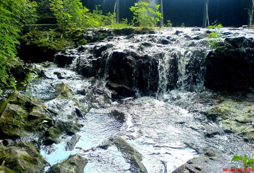 Night Alex - Гопчиця