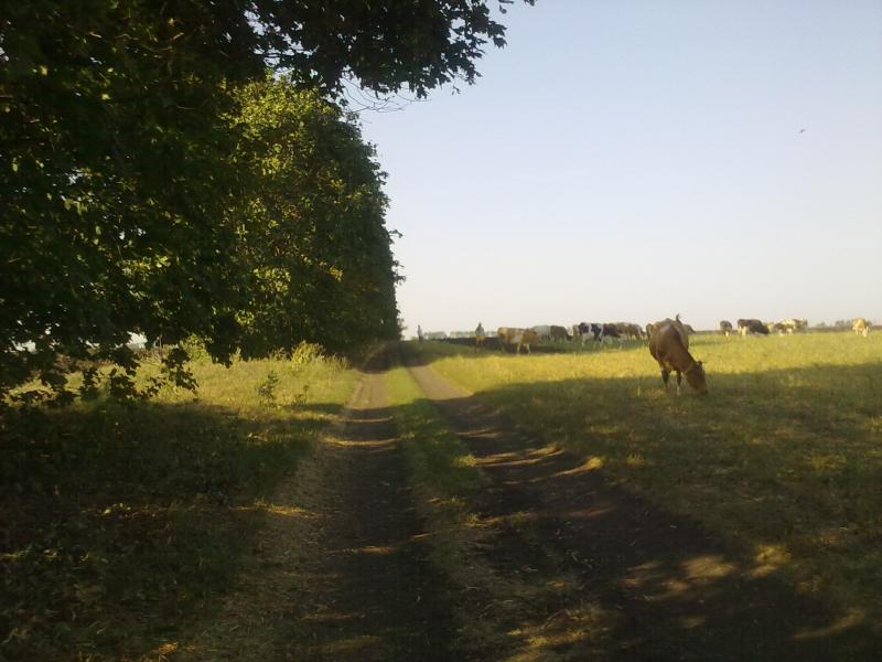 село Великие Хутора - Великі Хутори