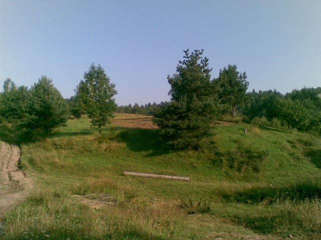 Наші фото - Волошиново