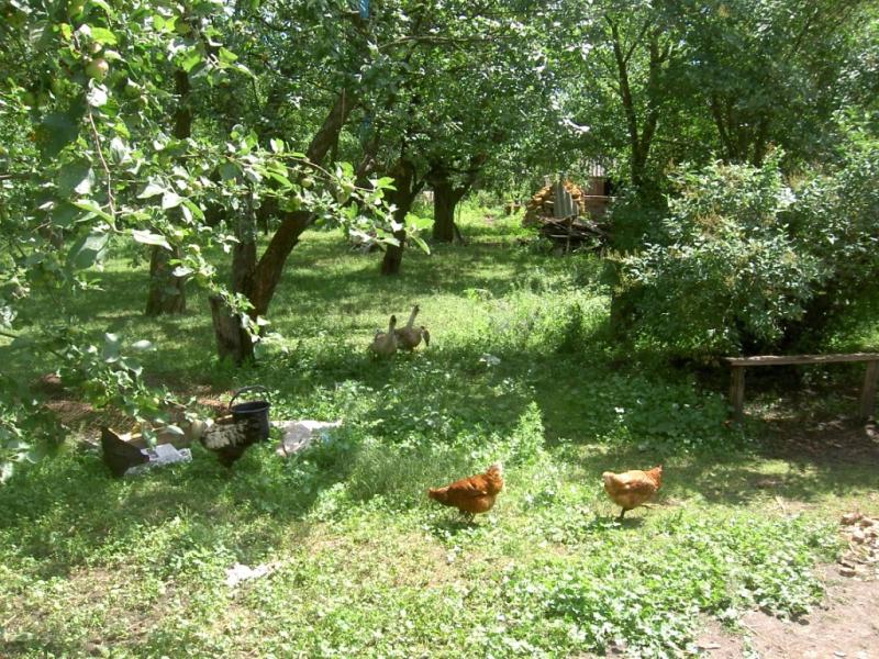 Фото села - Білоусівка