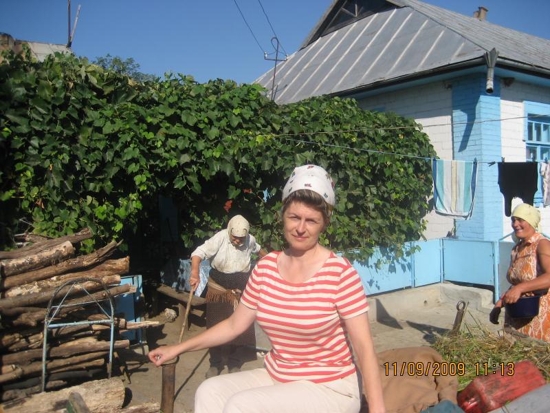 Просторы Цибулевки и Литовчуки - Цибулівка