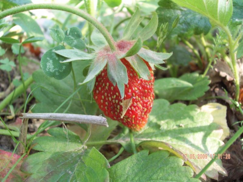 Завидово - Завидово