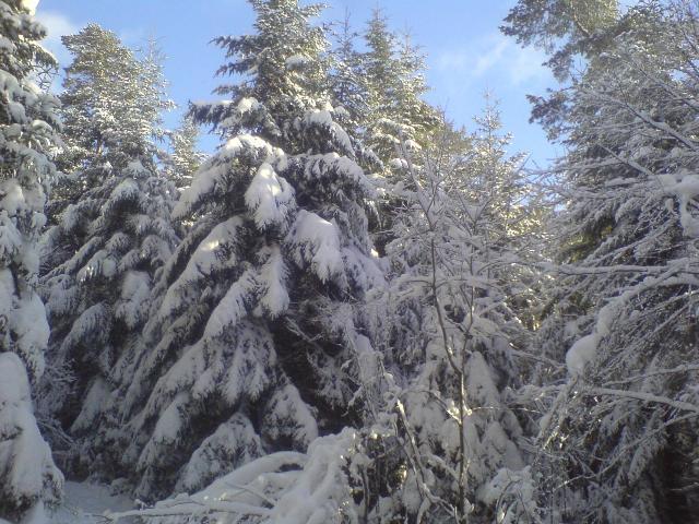 зима - Волошиново