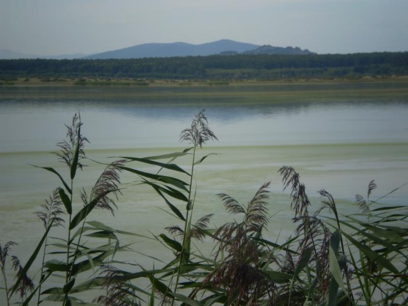 Форнош. - Форнош