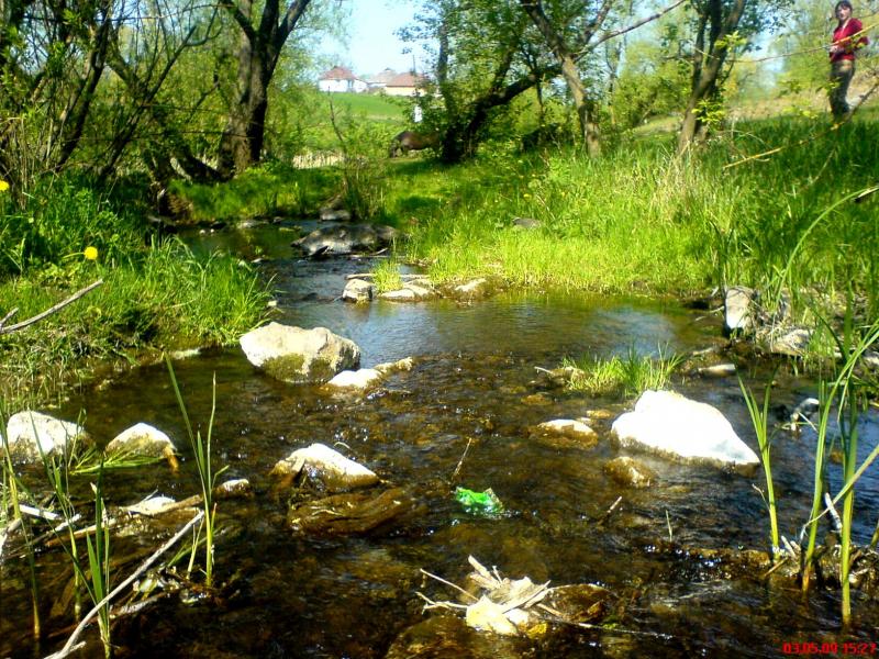 Night Alex - Гопчиця