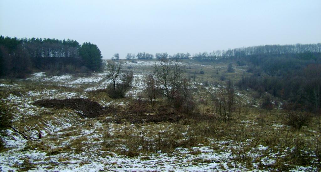 Фотогалерея 'ЗОРІ ВИТИЧ' - Витачів