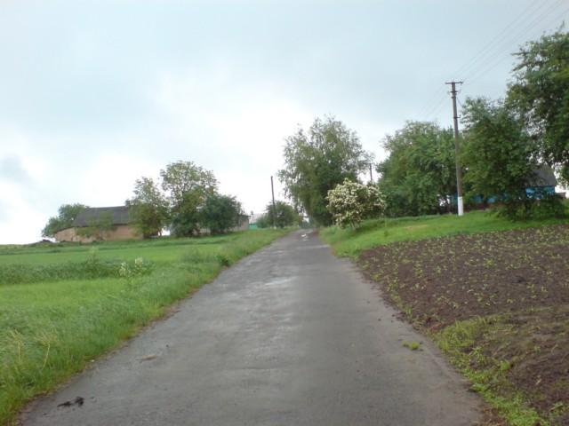 Мандрівка по вулицях - Романів