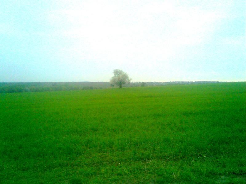 Димка - Димка