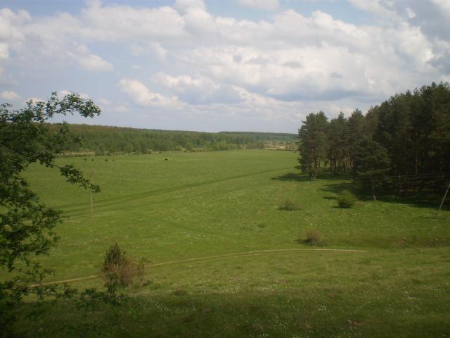 Природа Плужного - Плужне