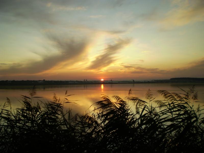 Форнош. - Форнош