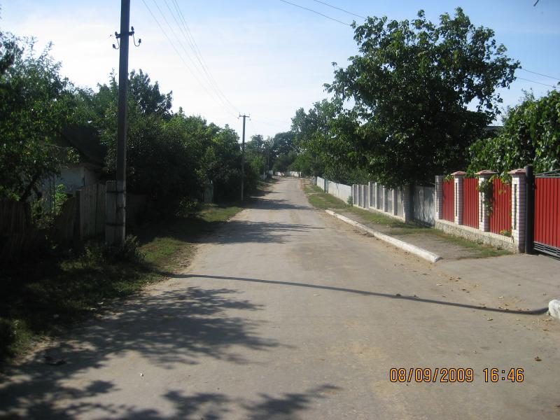 Просторы Цибулевки и Литовчуки - Цибулівка