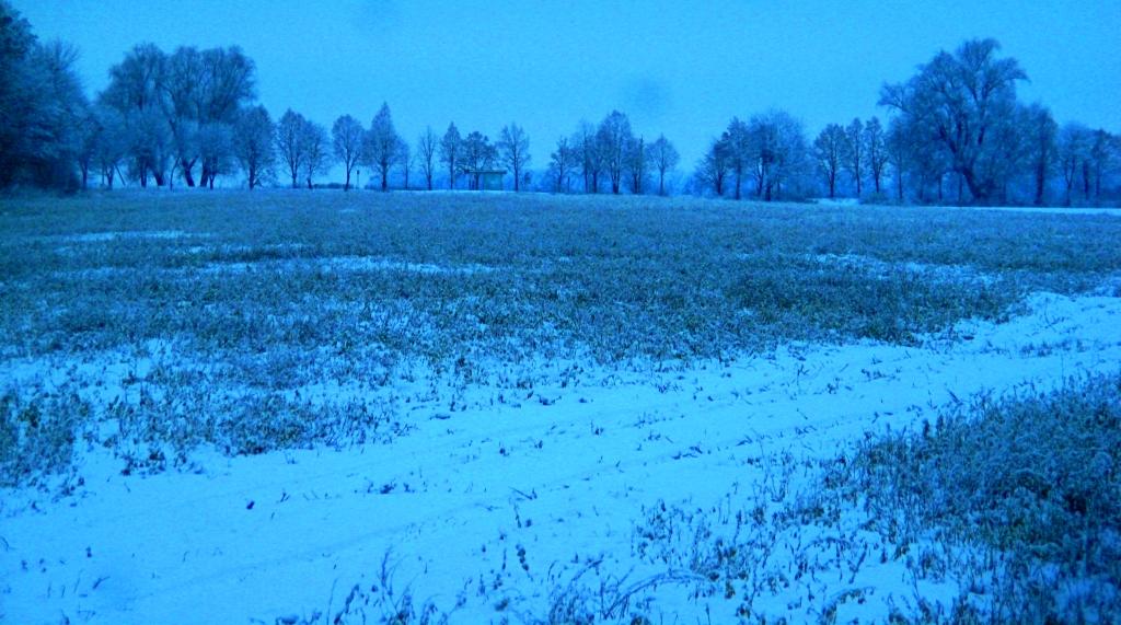 Фотогалерея 'ЗОРІ ВИТИЧ' - Витачів