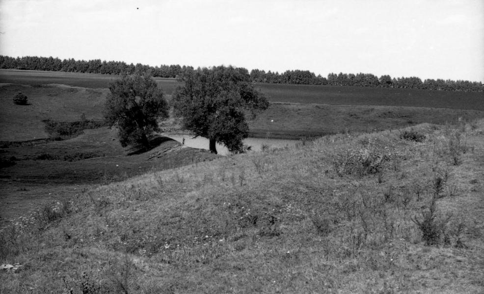Село і околиці - Новоселівка