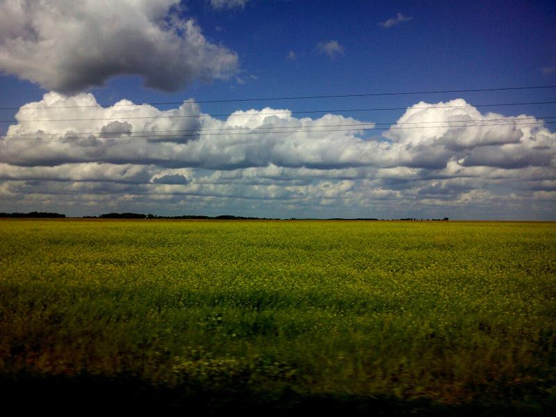 Night Alex - Гопчиця