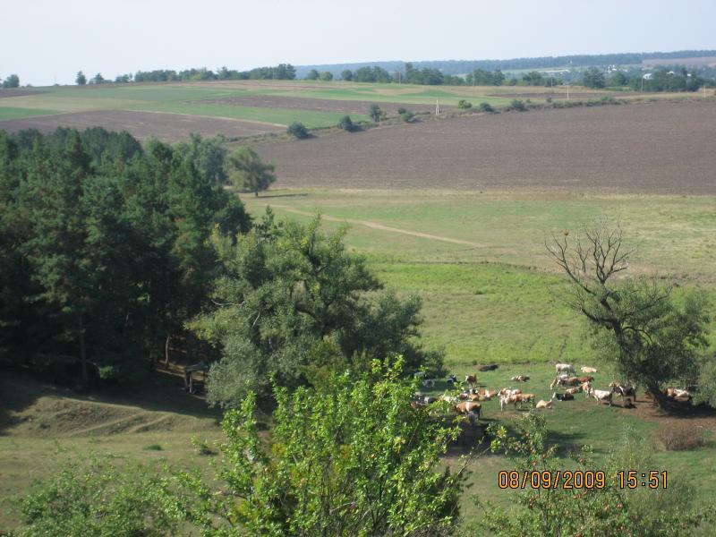 Просторы Цибулевки и Литовчуки - Цибулівка