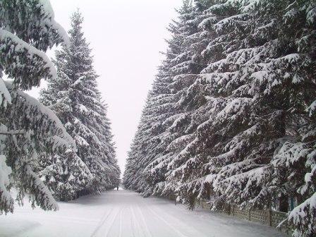 Мальовнича Піщаниця - Піщаниця