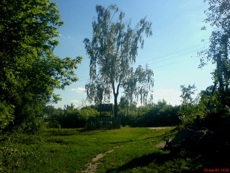 Night Alex - Гопчиця