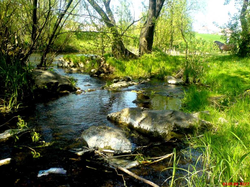 Night Alex - Гопчиця