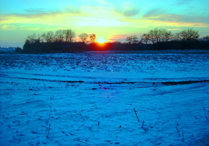 Фотогалерея 'ЗОРІ ВИТИЧ' - Витачів