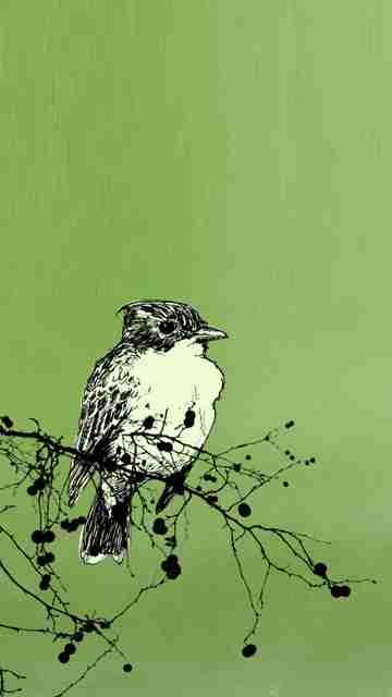 Мої Хоменки 1 - Хоменки