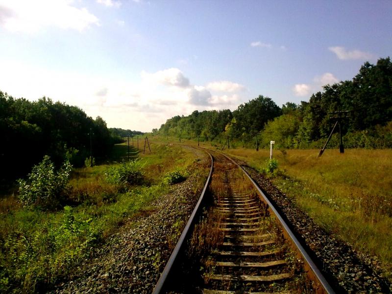 Night Alex - Гопчиця