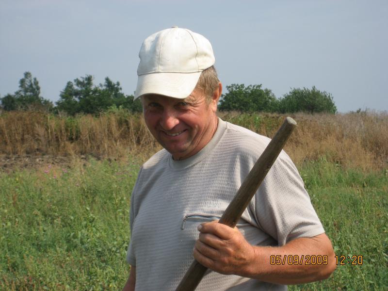 Просторы Цибулевки и Литовчуки - Цибулівка