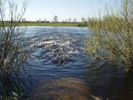 Рідна природа