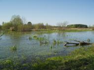 Рідна природа