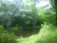 СОЛОНИЦЯ СТОЛИЦЯ