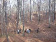 7 чудес равського