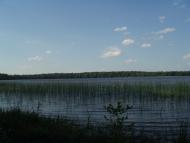 Рідна природа