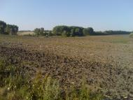 Ступник Сьогодні