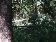 Рідна природа