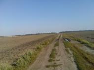 Ступник Сьогодні