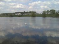 Ступник Сьогодні