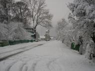 фото Щурович