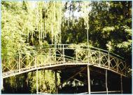 Новоселиця різна