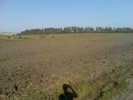 Ступник Сьогодні