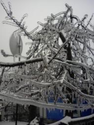 Перекрестово