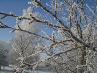 Рідна природа